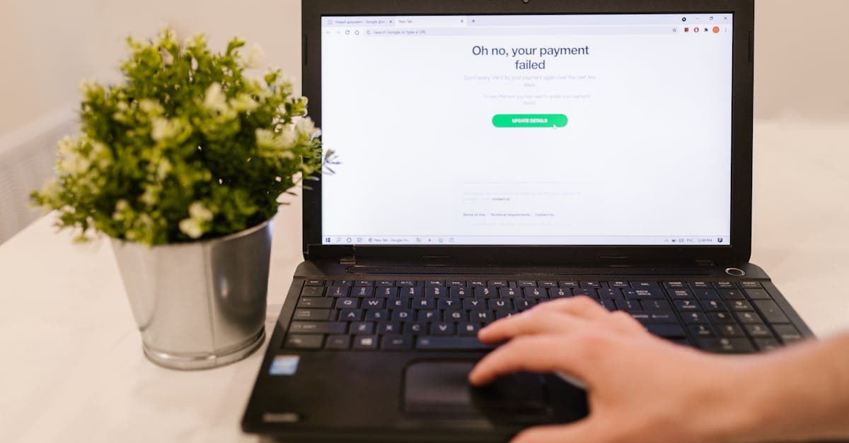 Person using laptop with payment failure message on screen and plant beside it.