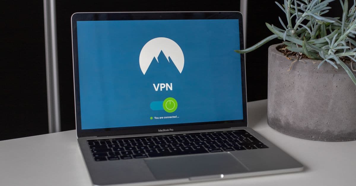Laptop with VPN screen and a succulent plant on a desk, emphasizing online privacy and security.