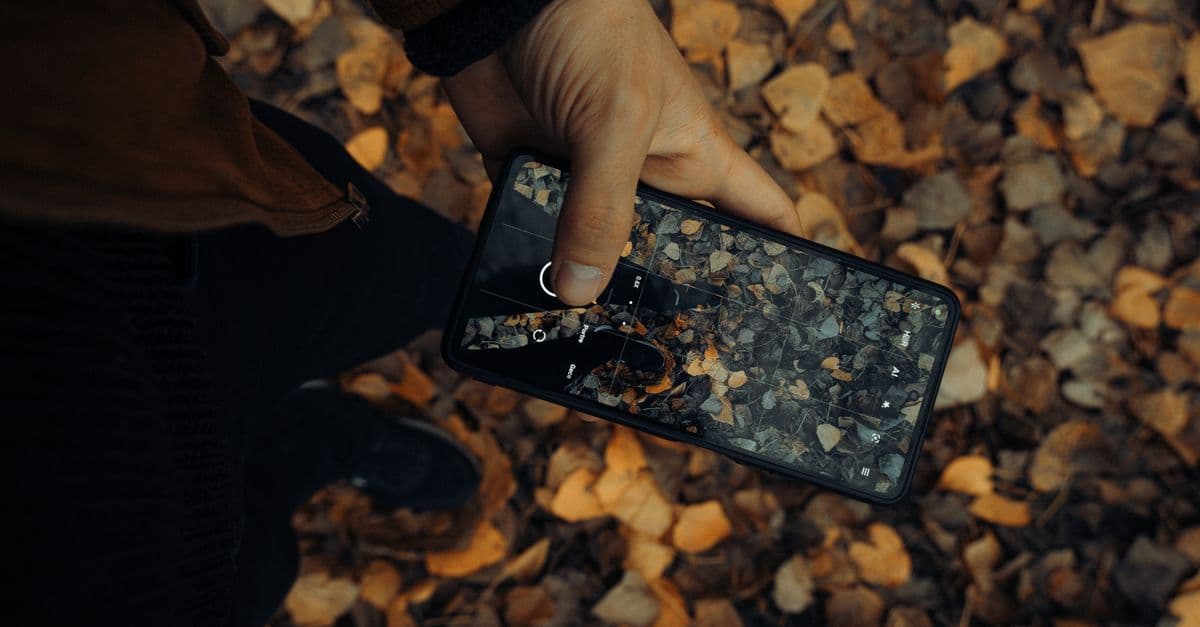 Hand holding smartphone photographing fallen autumn leaves on ground.