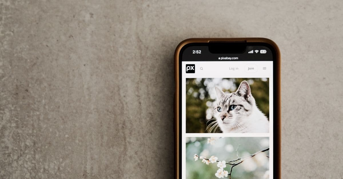 Mobile phone on a gray surface showing cat and flower images on screen.