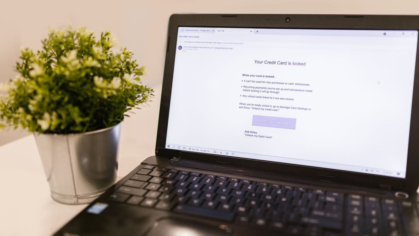 A clo e-up of a laptop creen howing a credit card ecurity notification next to a potted plant.