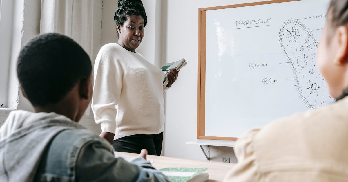 African American female teacher standing near whiteboard and explaining scheme to pupils during lesson in school