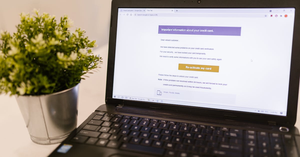 Laptop showing a financial document with a potted plant on a desk in a well-lit office.