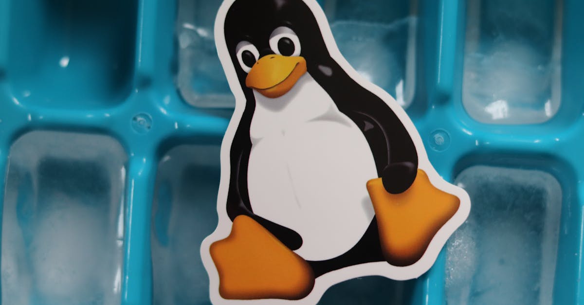 Close-up of a Linux penguin sticker placed on a blue ice cube tray with frozen cubes.