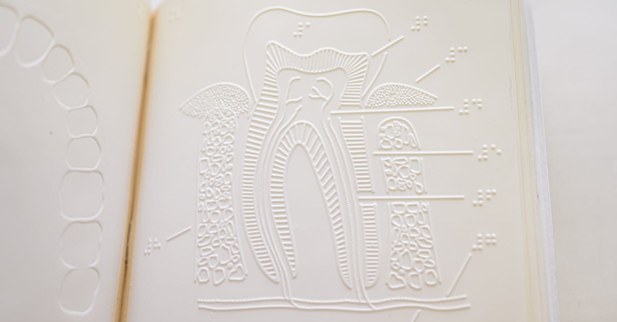 Close-up of an embossed tooth diagram book page for blind readers.