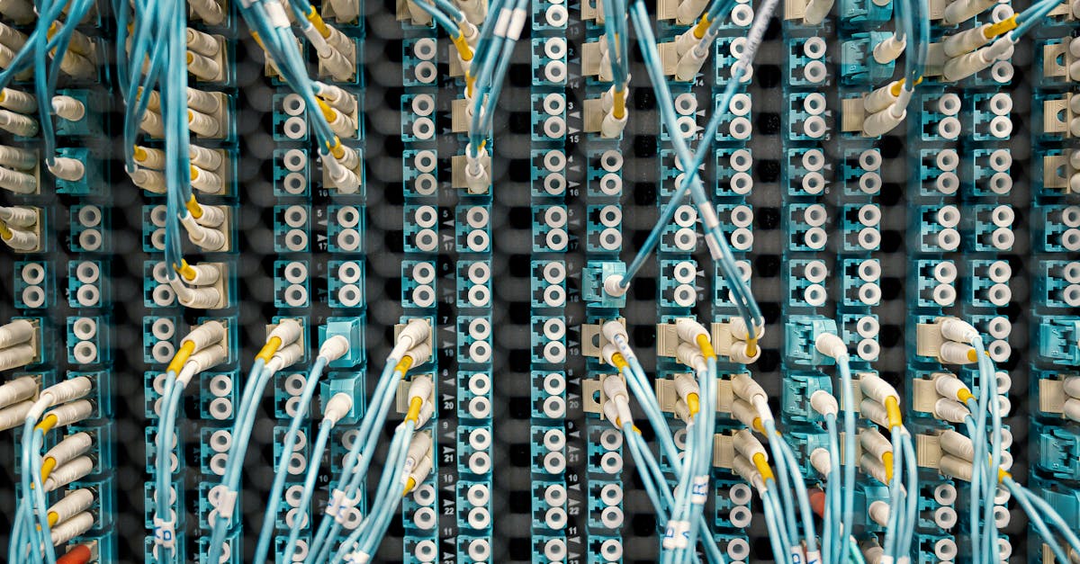 Close-up of a network patch panel with connected cables in a data center, showcasing organized cable management.