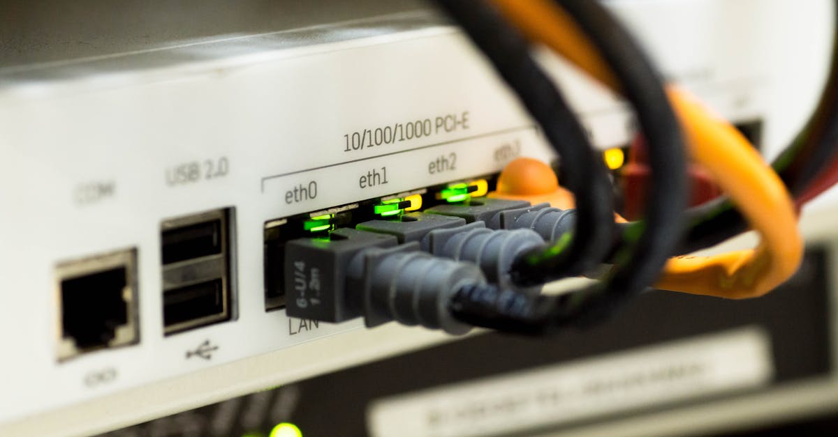 Detailed close-up of ethernet cables and network connections on a router, showcasing modern technology.
