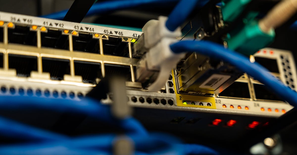 Close-up image of ethernet cables plugged into a network switch, showcasing IT infrastructure.