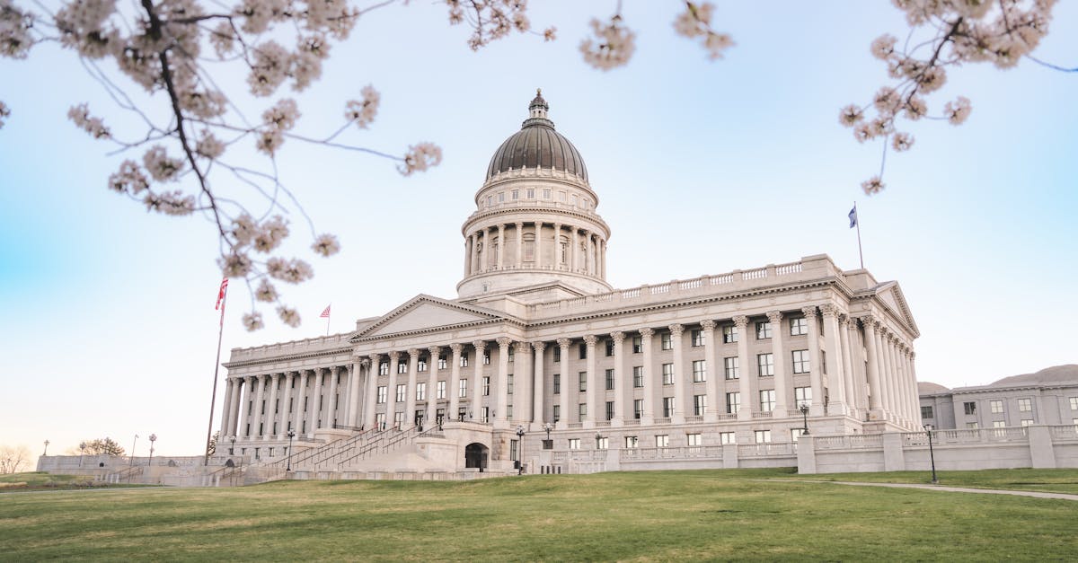 A serene view of the Utah State Capitol surrounded by cherry blossoms in springtime.