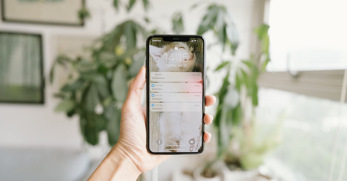 A hand holding a smartphone inside a modern, bright room with plants.
